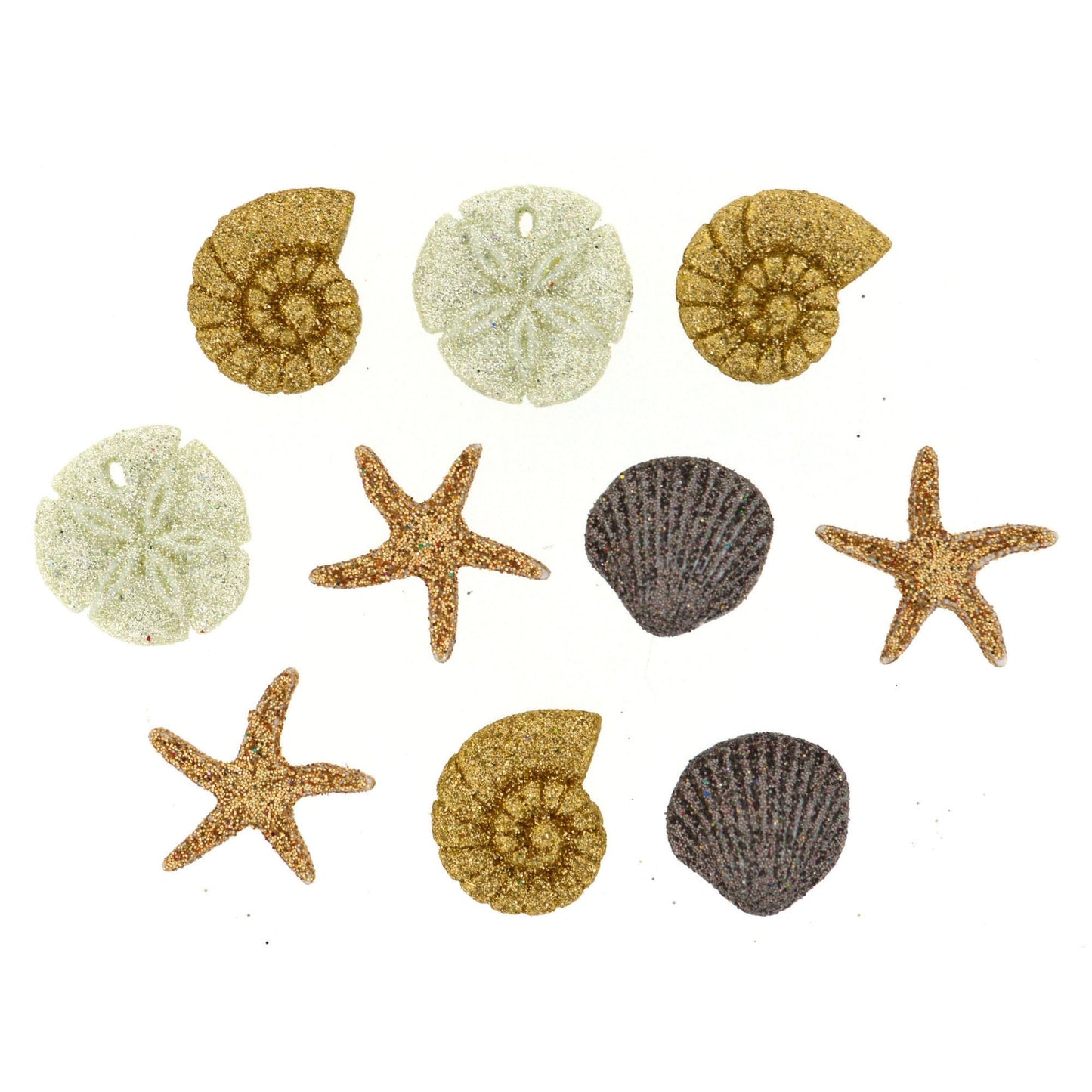 Seashells