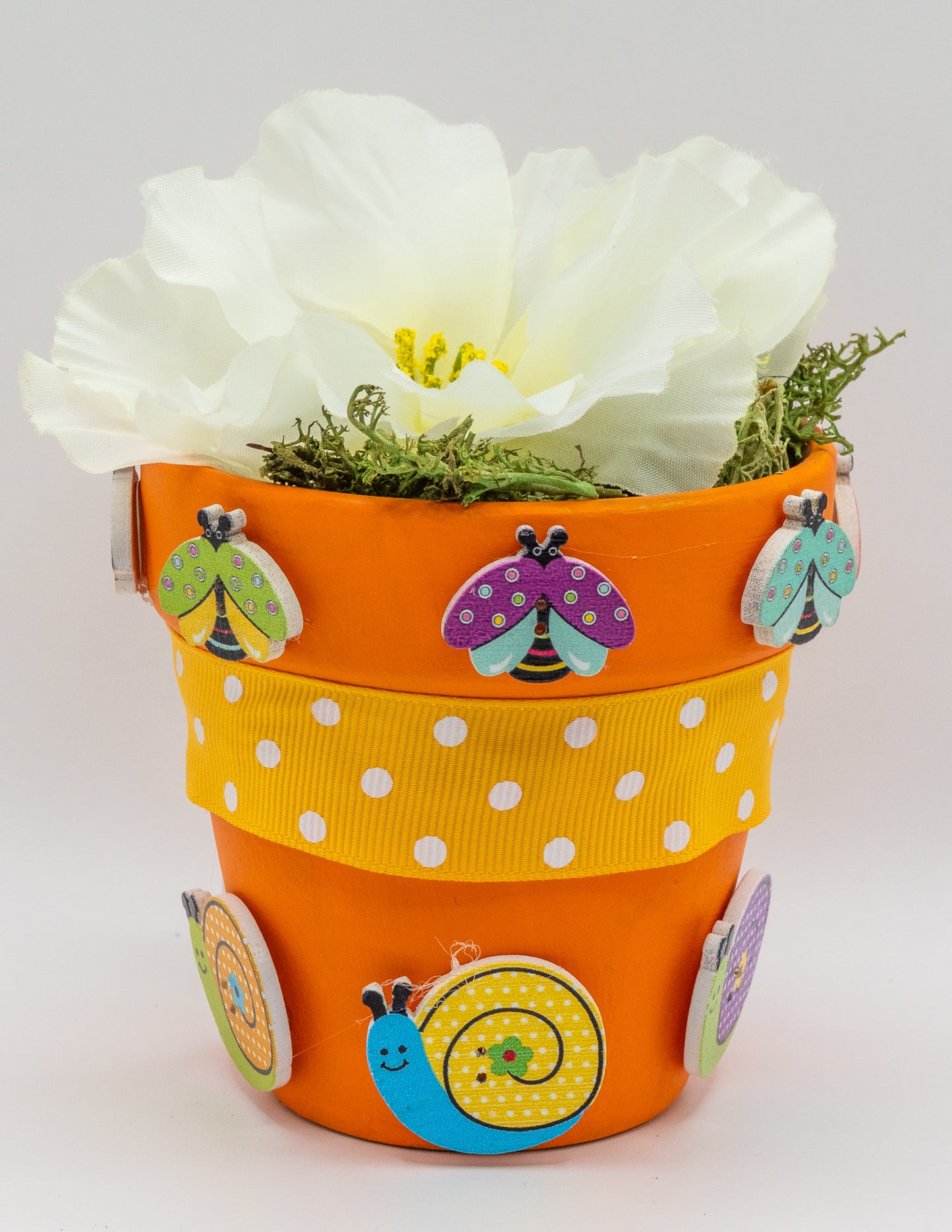 Colorful Ladybugs Insects Bugs 2-Hole Spring Themed Buttons